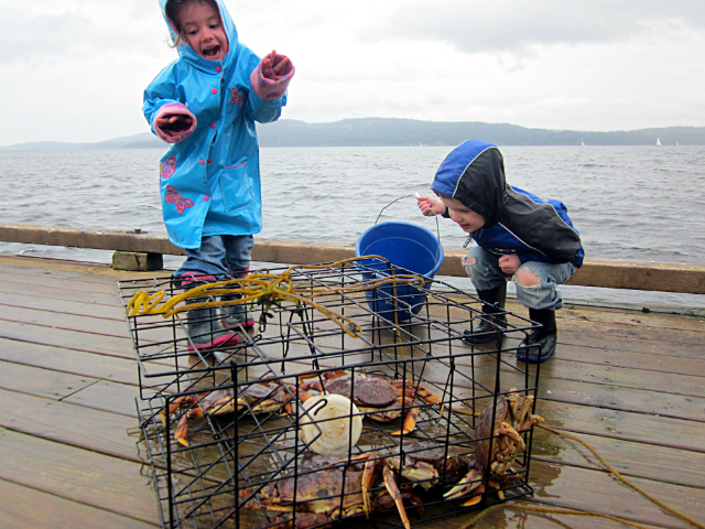 Vancouver Island Crabbing
