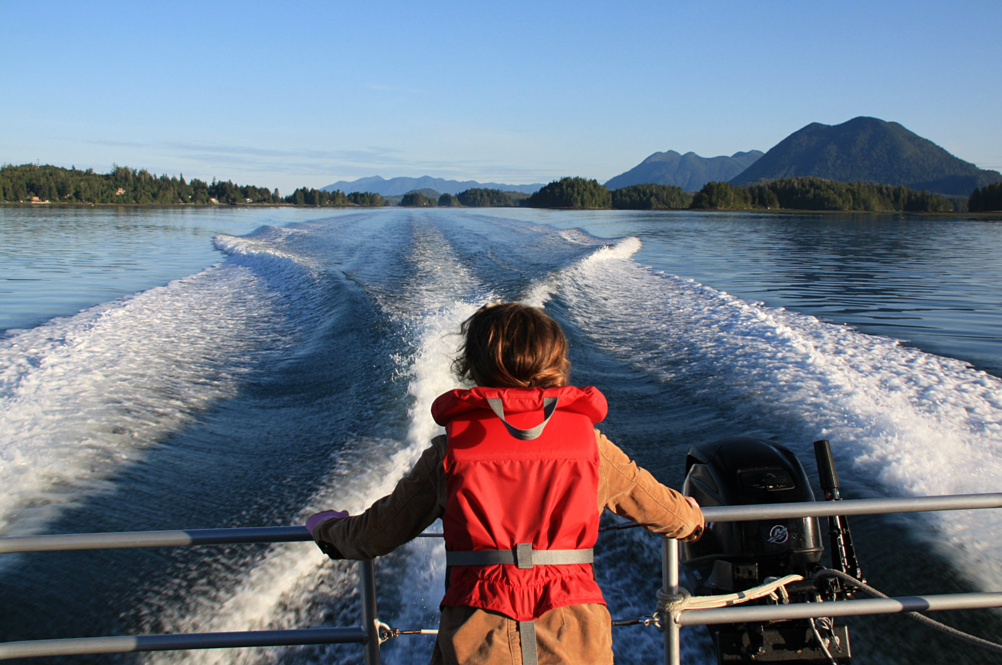 Bear Watching, Tofino, Tofino Bear Watching, West Coast Aquatic Safaris, Wildlife Tours Tofino, Vancouver Island, Traveling Islanders