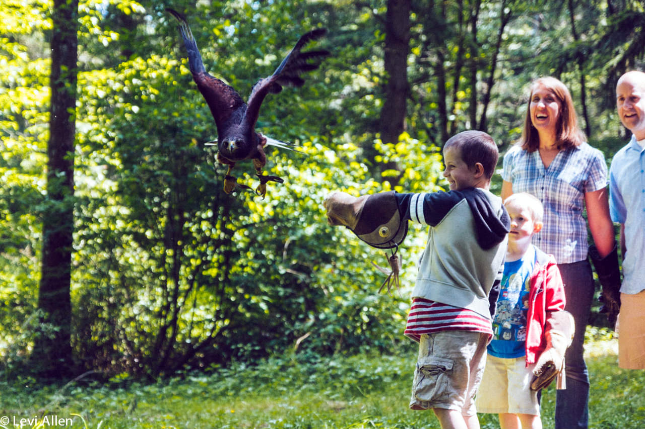 Varsity Tutors' StarCourse - Discovering Raptors with the WORLD CENTER FOR  BIRDS OF PREY 