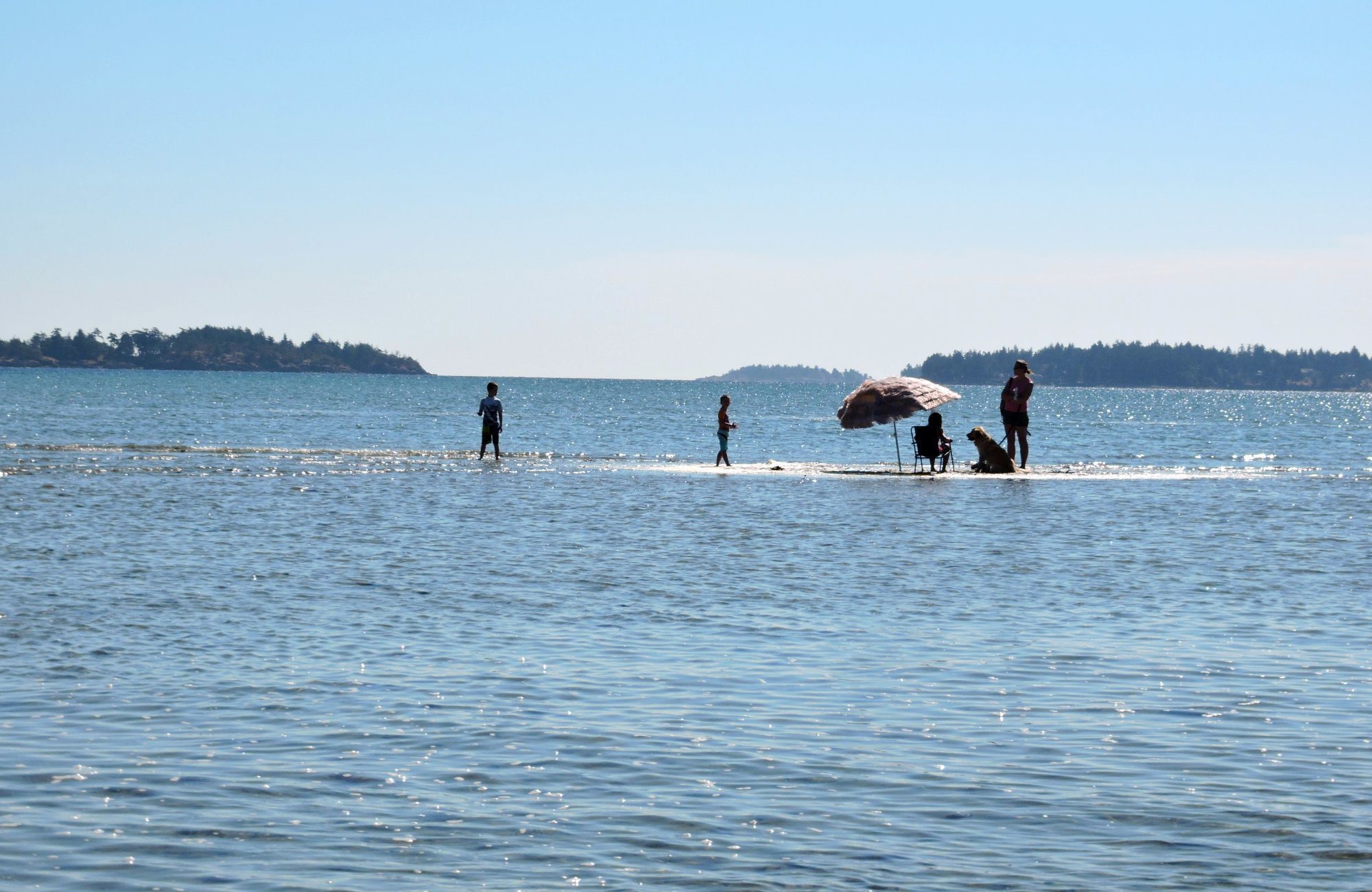 Rathtrevor Beach, Top Vancouver Island Beaches, Top 10 beaches in Canada, Directions to Rathtrevor Beach, Vancouver Island Beaches, Rathtrevor