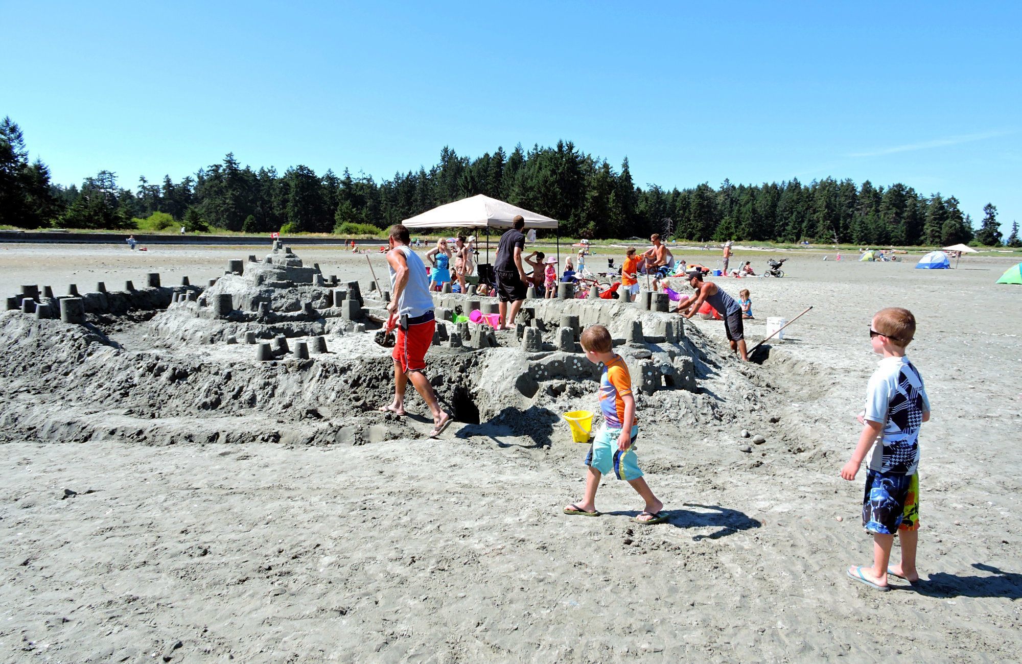 Rathtrevor Beach Pictures