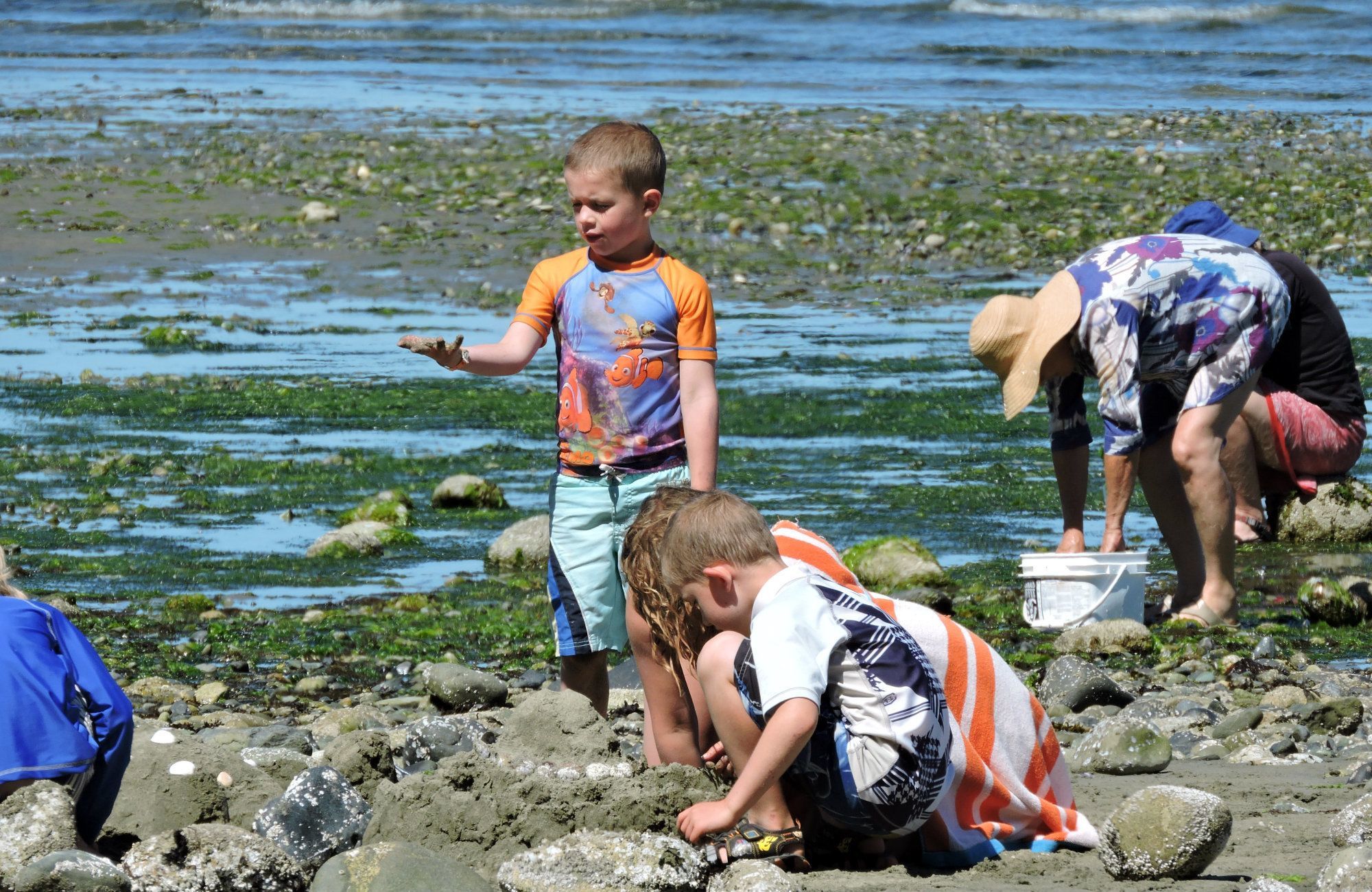 Rathtrevor Beach combing