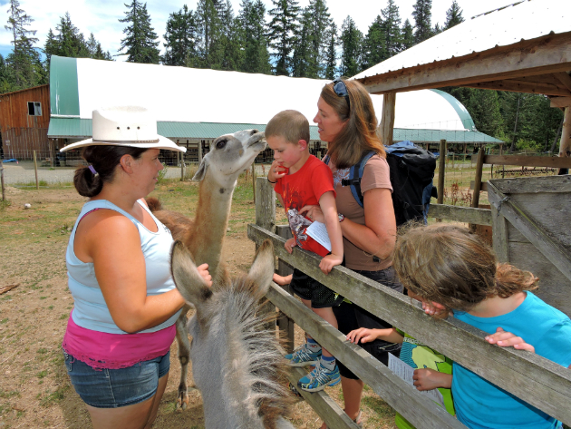 Tiger Lily Farms, Petting Zoo, Parksville, Kids activities