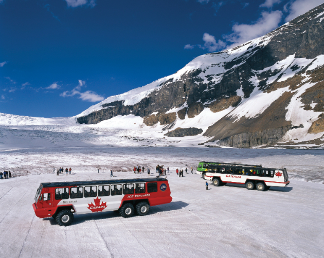 Glacier, Canadian Rockies, Brewster Travel, Jasper National Park