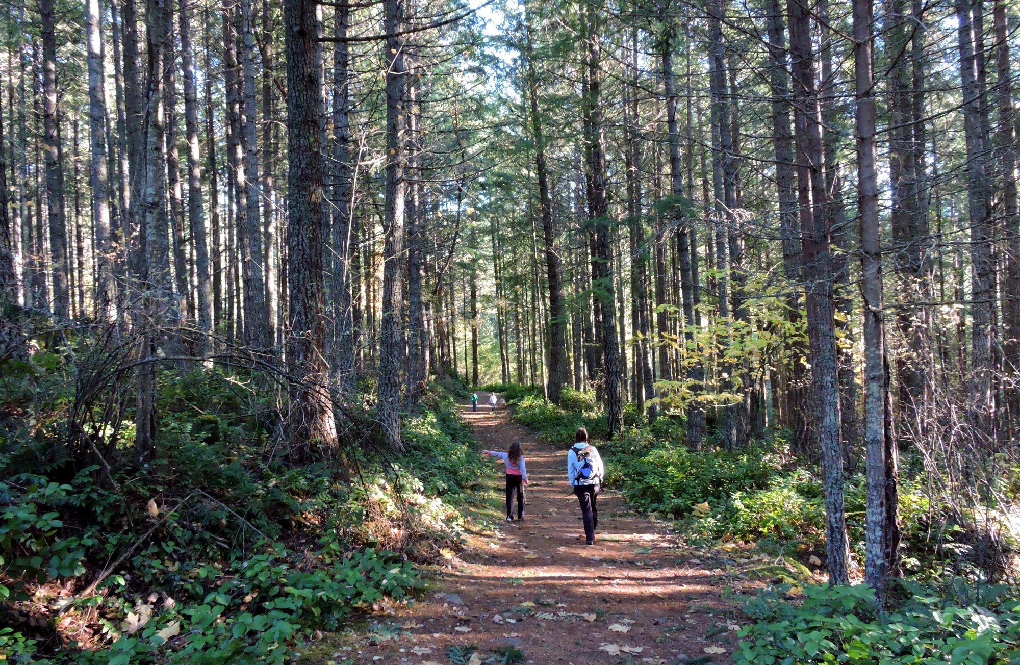 Mount Tzouhalem Hike, Cowichan Hikes, Mount Tzouhalem Cross, Mount Tzouhalem Directions, Mount Tzouhalem hike to the cross, Cowichan Valley Hikes