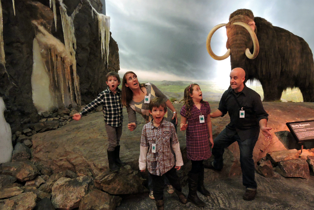 Mammoth, Victoria Museum