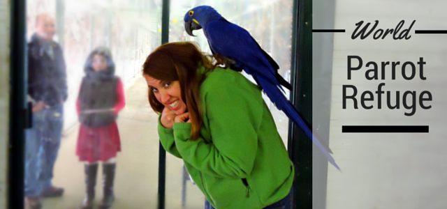 Parksville Activities, Parrot Parksville, Vancouver Island parrot refuge, butterfly gardens