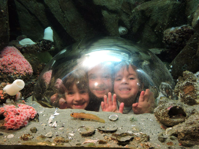 Ocean_Discovery_Centre_Sidney_BC