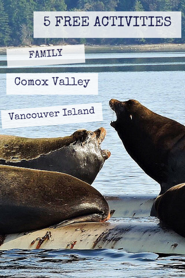 Comox Valley Activities, Family activities comox valley, things to do in the comox valley, Sea Lions Comox Valley, Fanny Bay Sea Lions