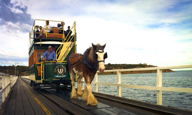 Victor Harbor activities, Horse drawn carriage in Victor harbor
