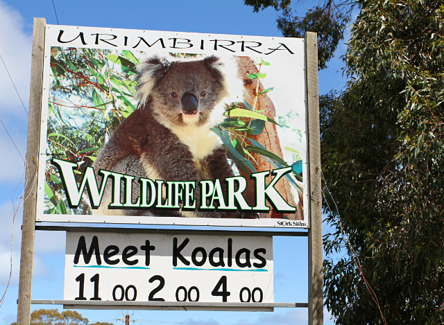 Urimbirra Wildlife Park , Kooala petting in Australia, Victor harbor top activities