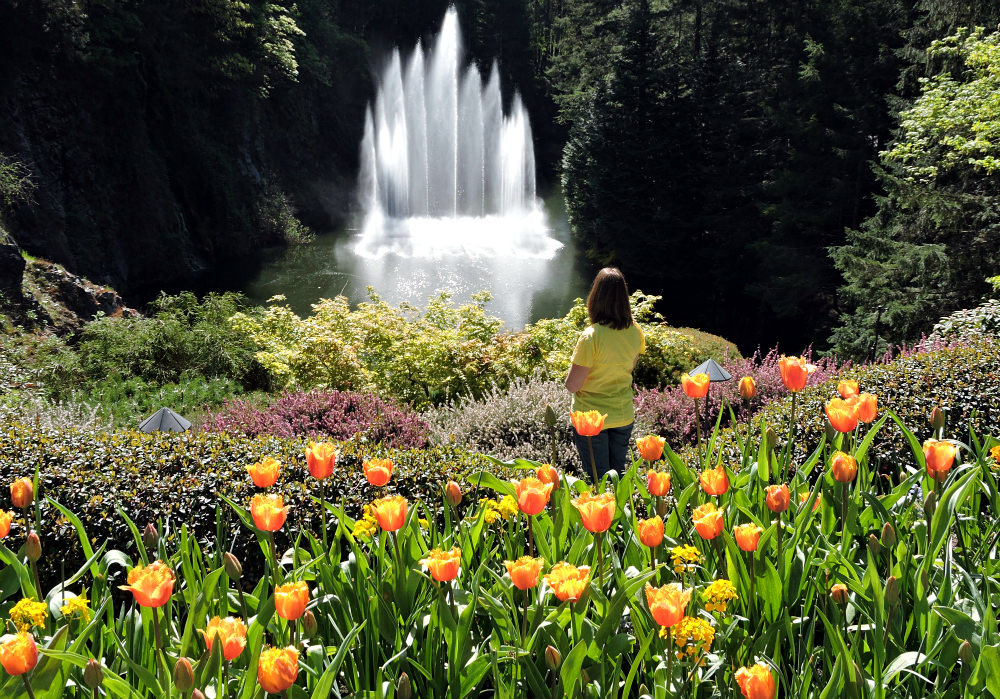 Butchart Gardens, Vancouver Island activities, Flower garden of Vancouver Island, World's best flower gardens,