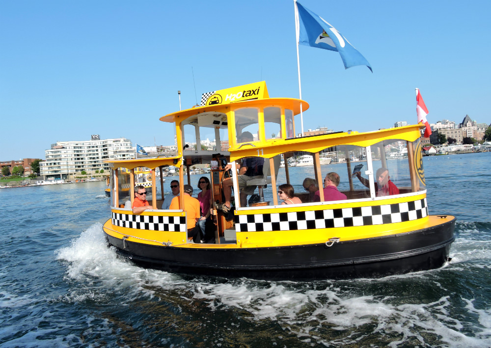 Victoria feed seals, Victoria seals, Fisherman's wharf, Victoria, water taxi, Things to do in Victoria, Barb's fish and chips, Victoria fish and chips, Victoria Seafood, Victoria Water taxi, Victoria inner-harbour