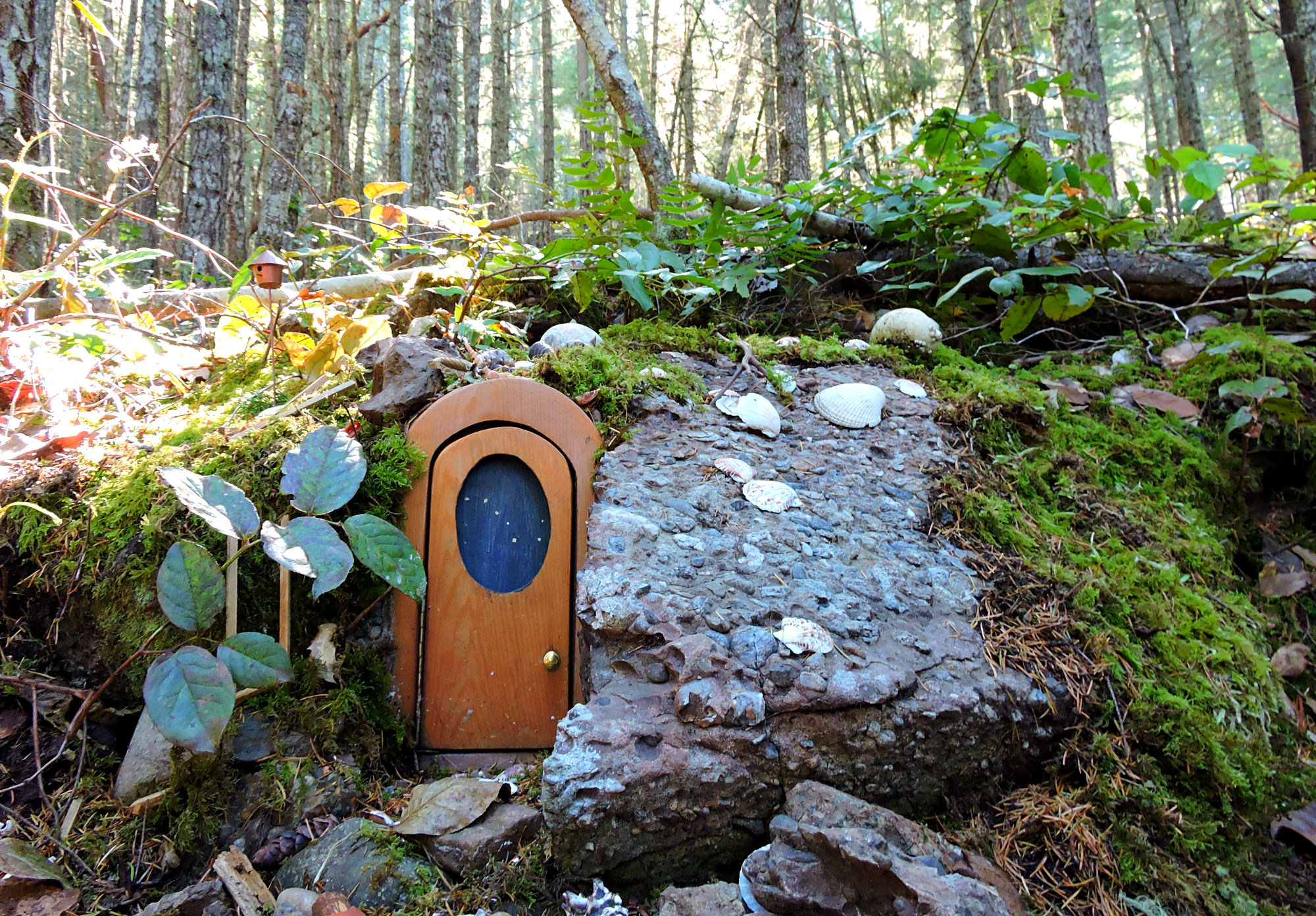 Salt Spring Activities, Things to do with kids on Salt Spring, Fairy Door Trail Salt Spring, Salt Spring Fairy Door Trail, Mout erskine trail, directions Fairy Door Trail