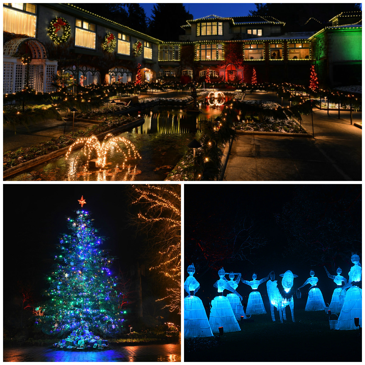 Butchart_Gardens_Christmas_lights