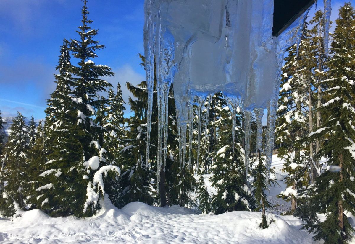 Wintergreen Lodge Mount Washington, Mount Washington Alpine Resort, Where to stay on Mount Washington, Mount Washington Lodges, Traveling Islanders,