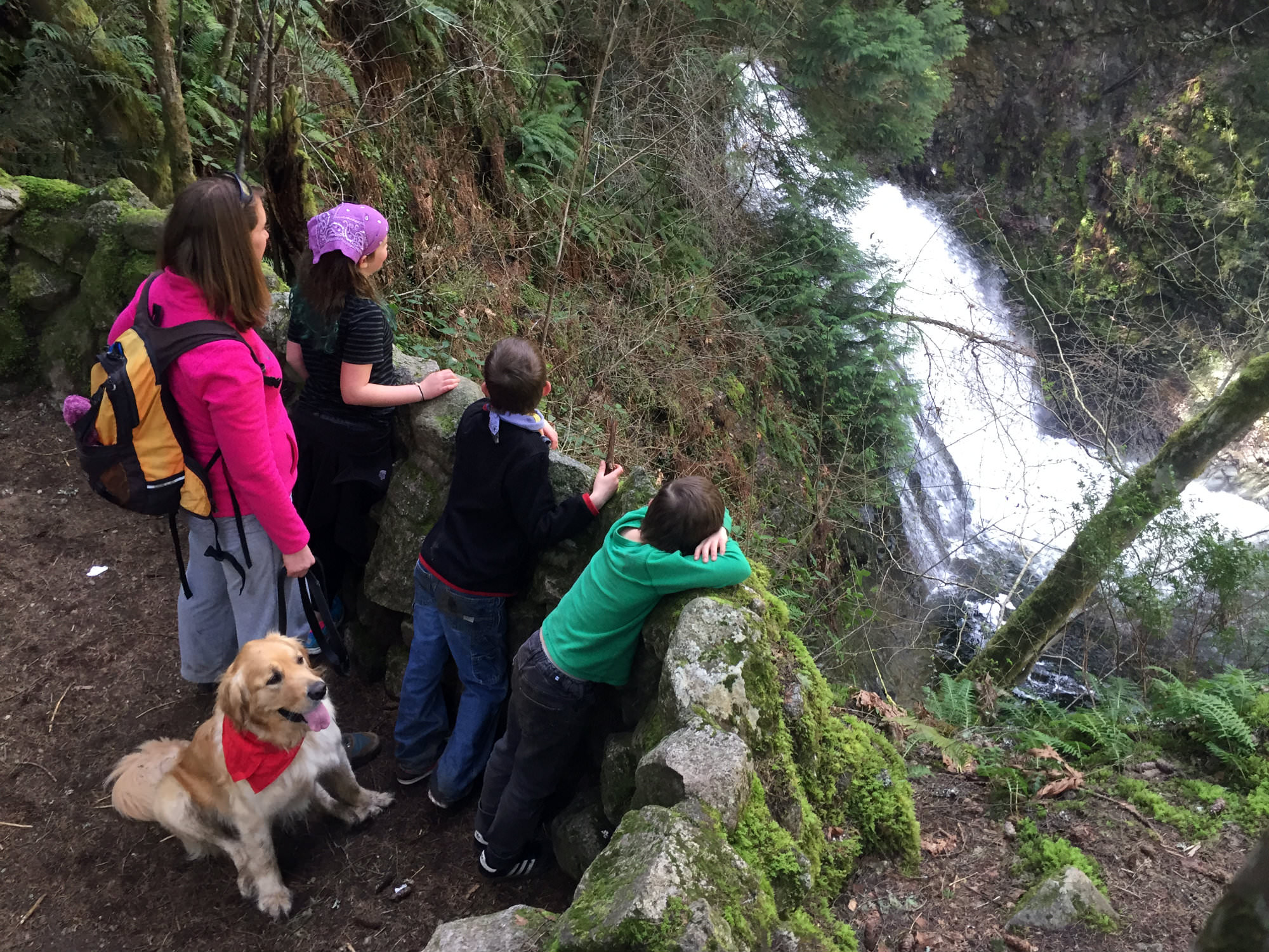 Holland Creek Trail, Ladysmith Hiking, Cowichan Valley Hikes, Waterfalls in Cowichan Valley, Crystal Creek Falls, Heart Lake Trail