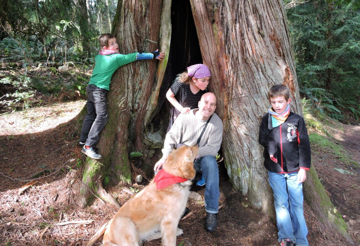 Holland Creek Trail Cowichan Valley Hikes_mini-2