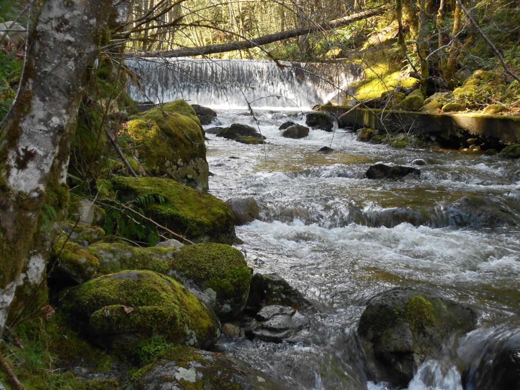 Holland Creek Trail, Ladysmith Hiking, Cowichan Valley Hikes, Waterfalls in Cowichan Valley, Crystal Creek Falls, Heart Lake Trail