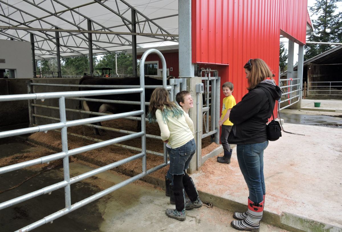 Little Qualicum Cheese Works, Little Qualicum Petting Zoo, Little Qualicum Cheese, Qualicum Cheese, Qualicum Cheese Works, Qualicum Cheese factory,