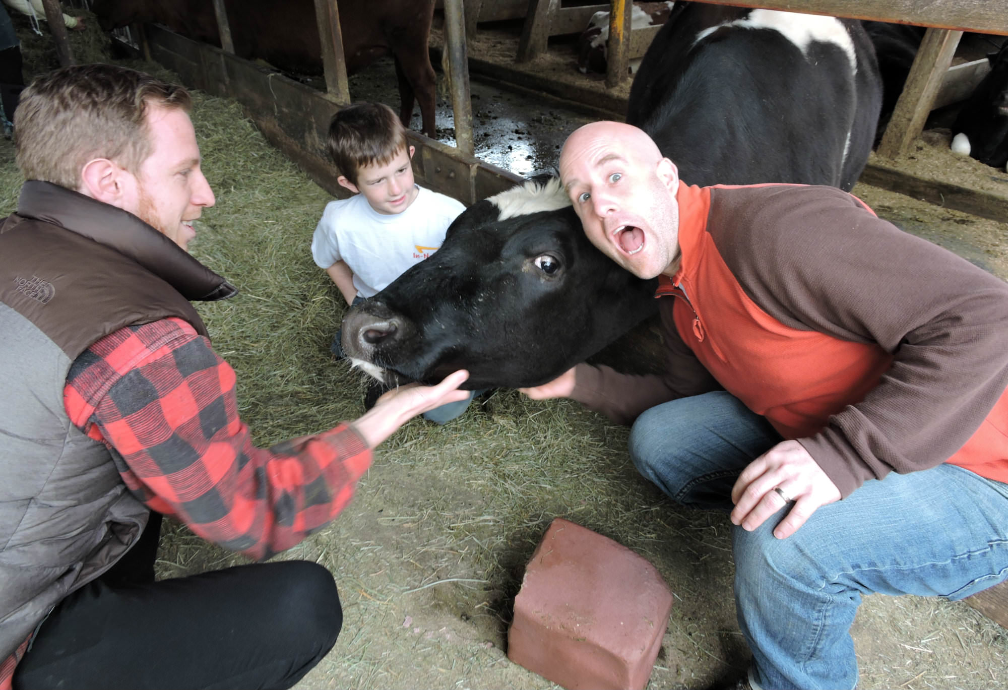 Little Qualicum Cheese Works, Little Qualicum Petting Zoo, Little Qualicum Cheese, Qualicum Cheese, Qualicum Cheese Works, Qualicum Cheese factory,