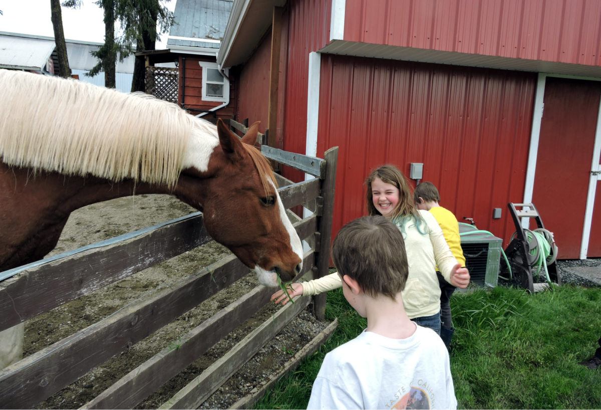 Little Qualicum Cheese Works, Little Qualicum Petting Zoo, Little Qualicum Cheese, Qualicum Cheese, Qualicum Cheese Works, Qualicum Cheese factory,