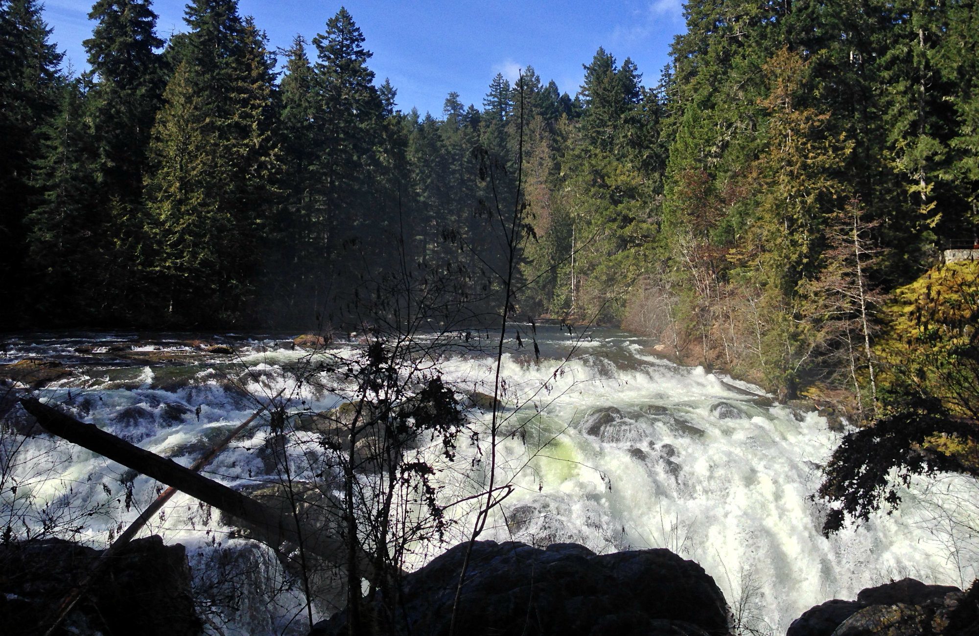 Englishman River Falls 2