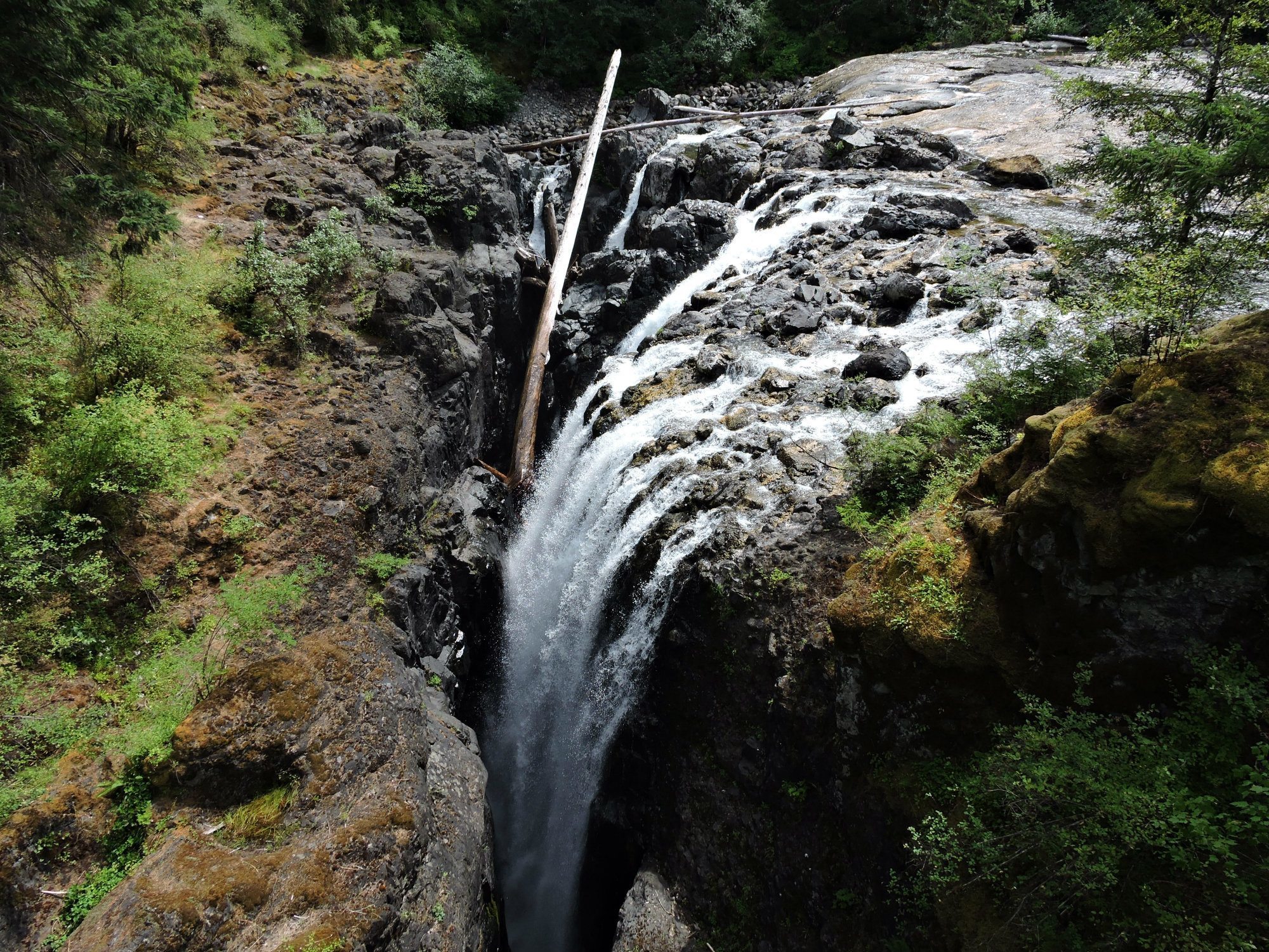 Englishman River Falls, Vancouver Island waterfalls