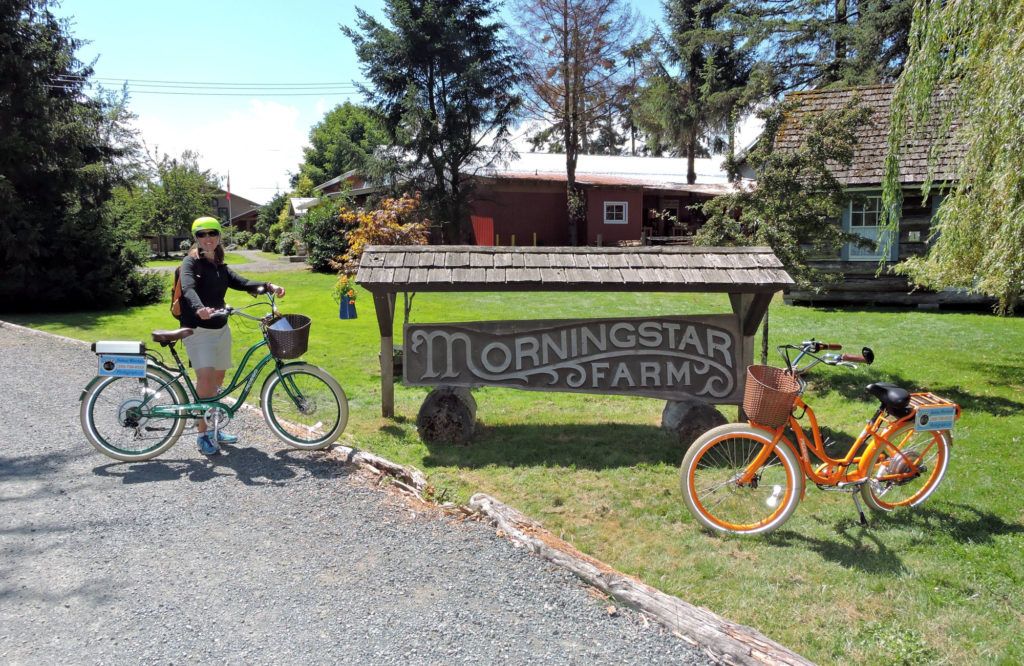 Cruising With Qualicum Beach Electric Bike Tours Traveling Islanders