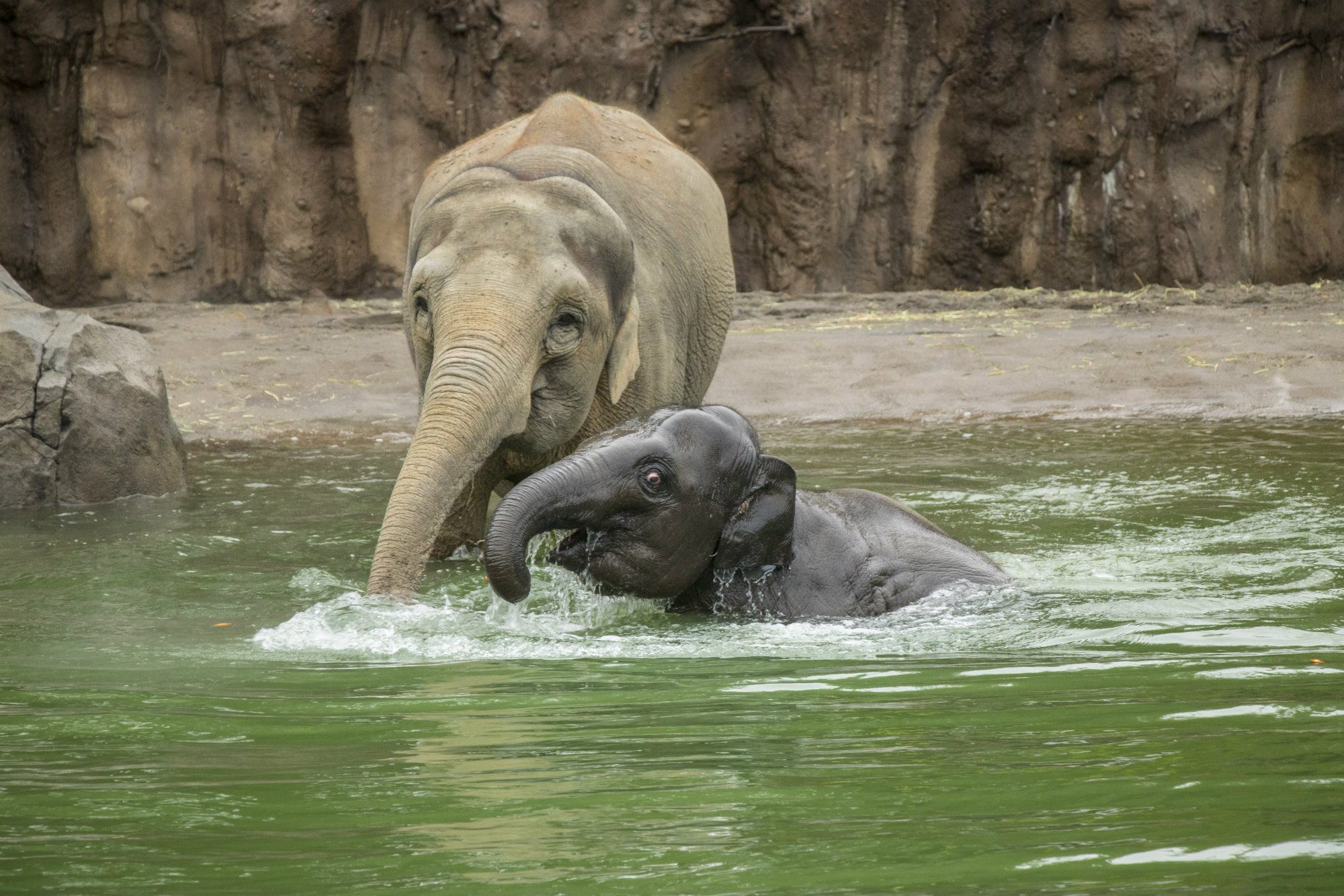 Oregon Zoo