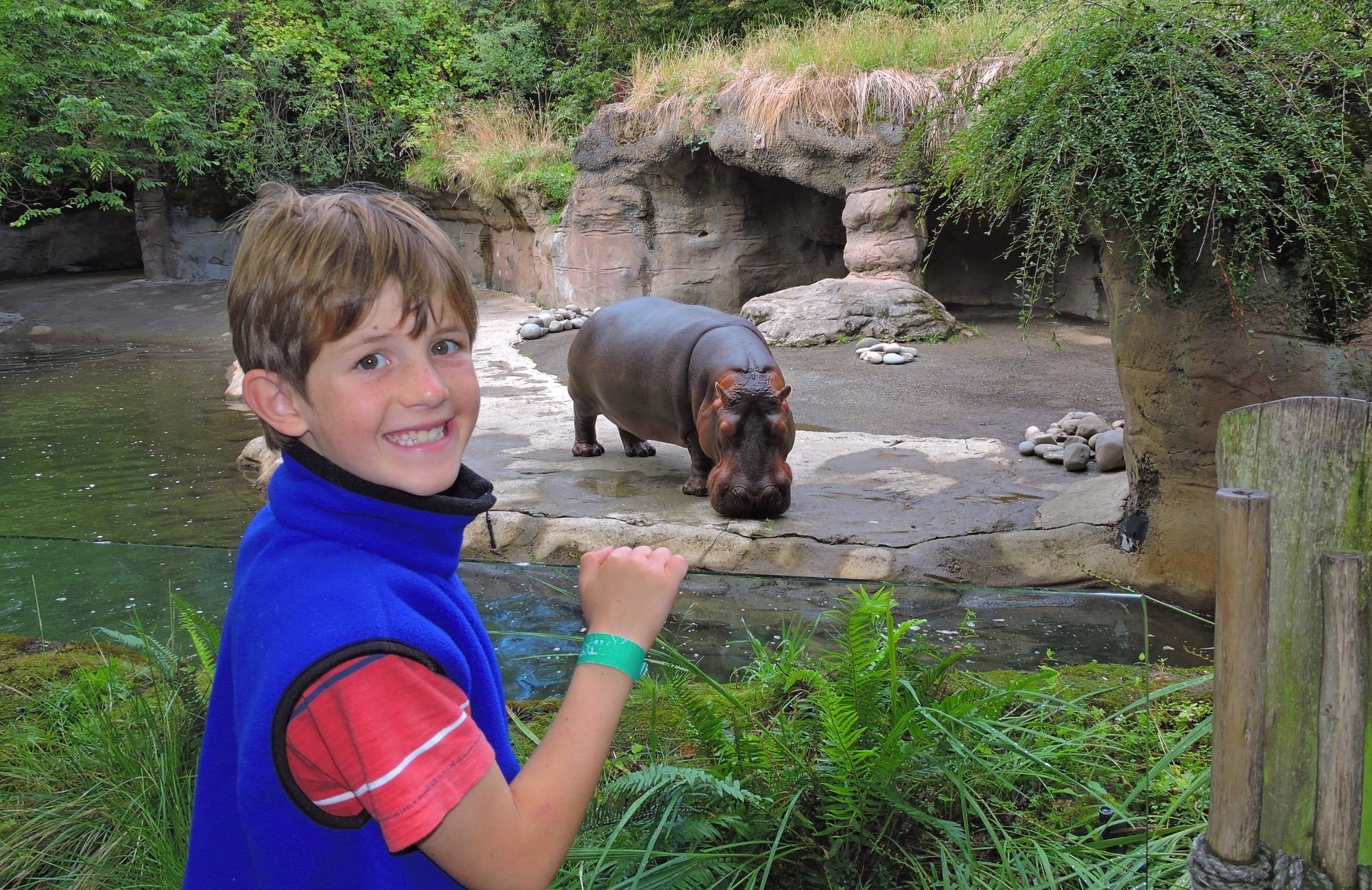 Oregon Zoo Animals