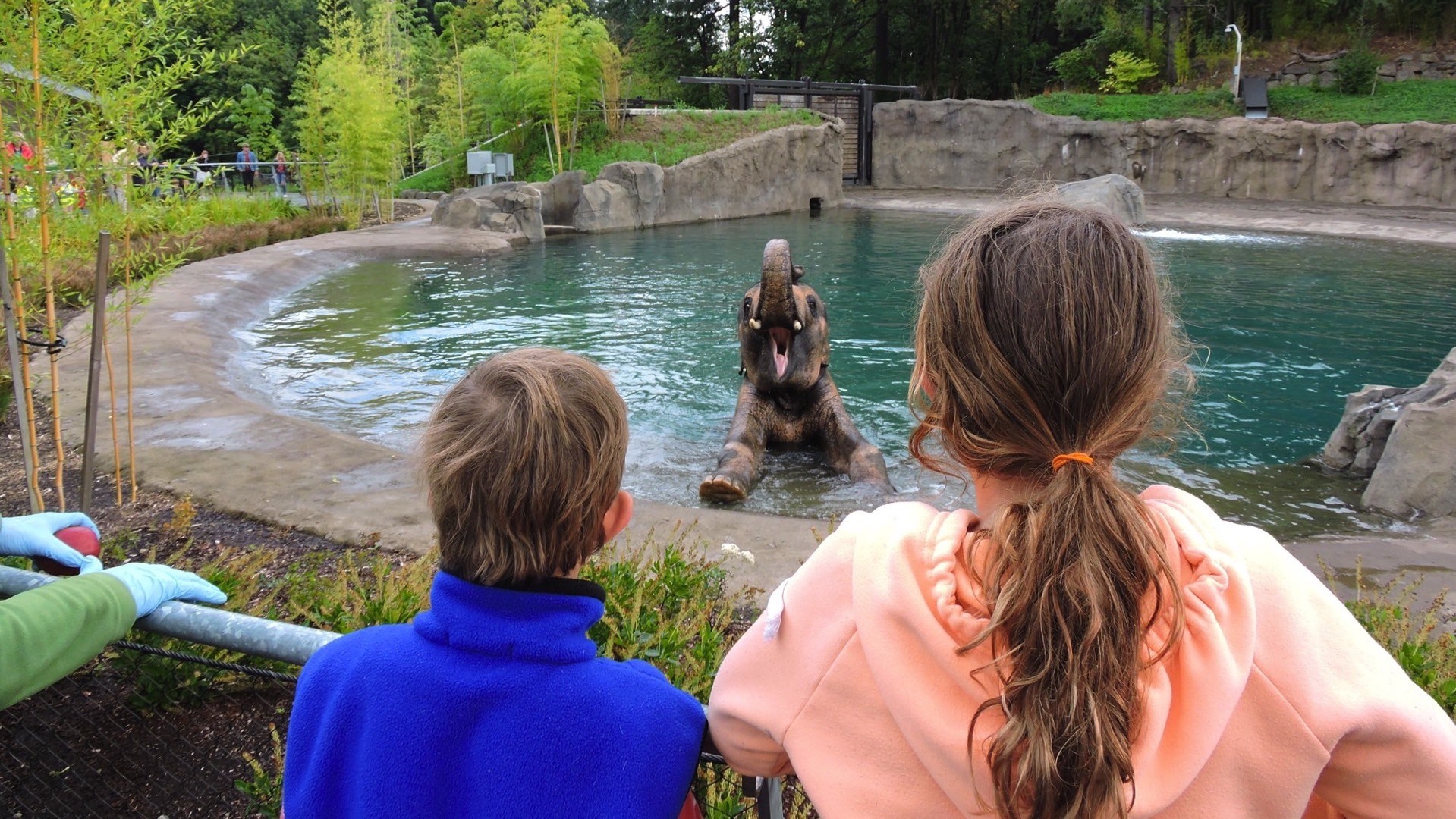 Oregon Zoo, Elephant,