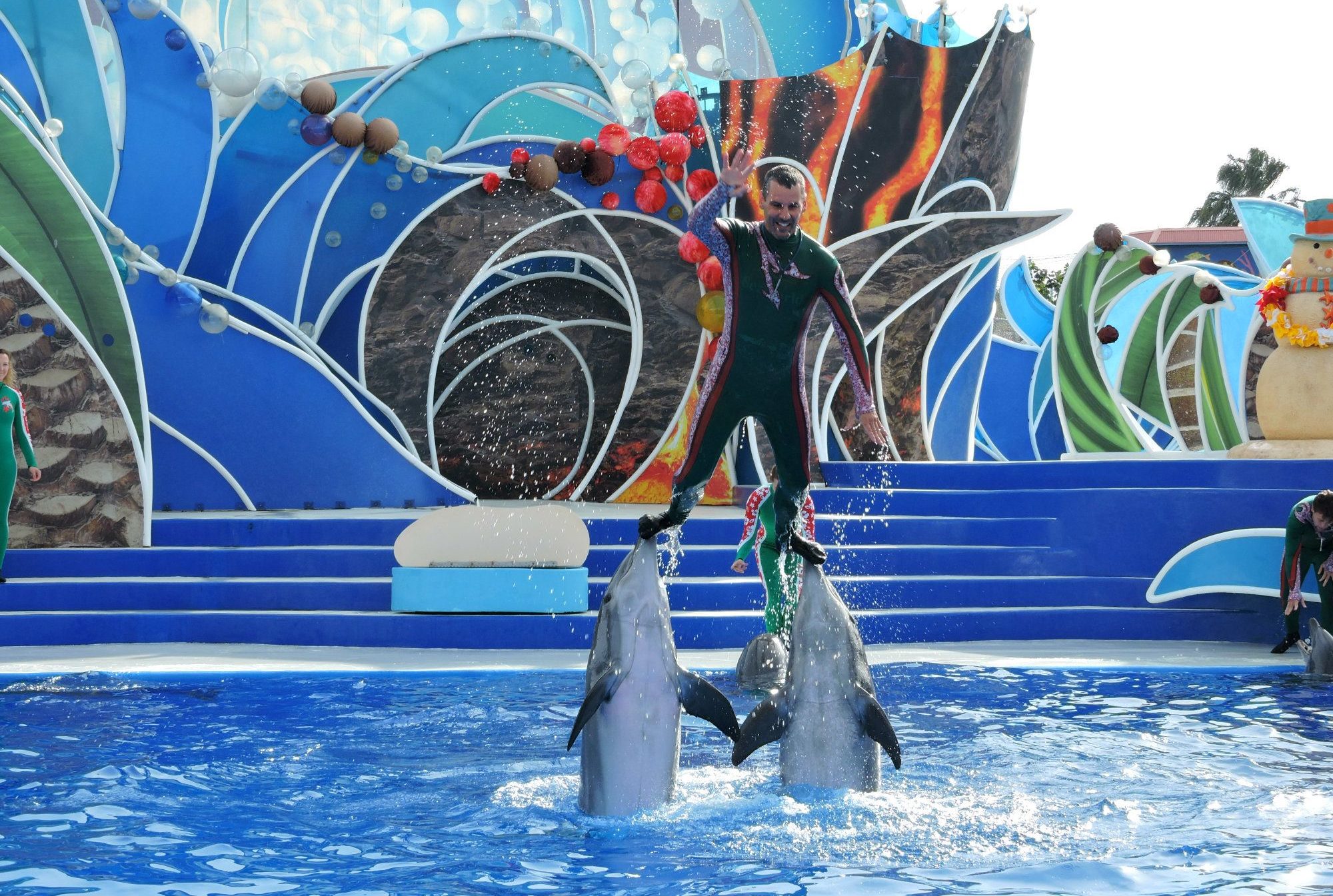 Seaworld, San Diego Seaworld, Dolphin Show, California