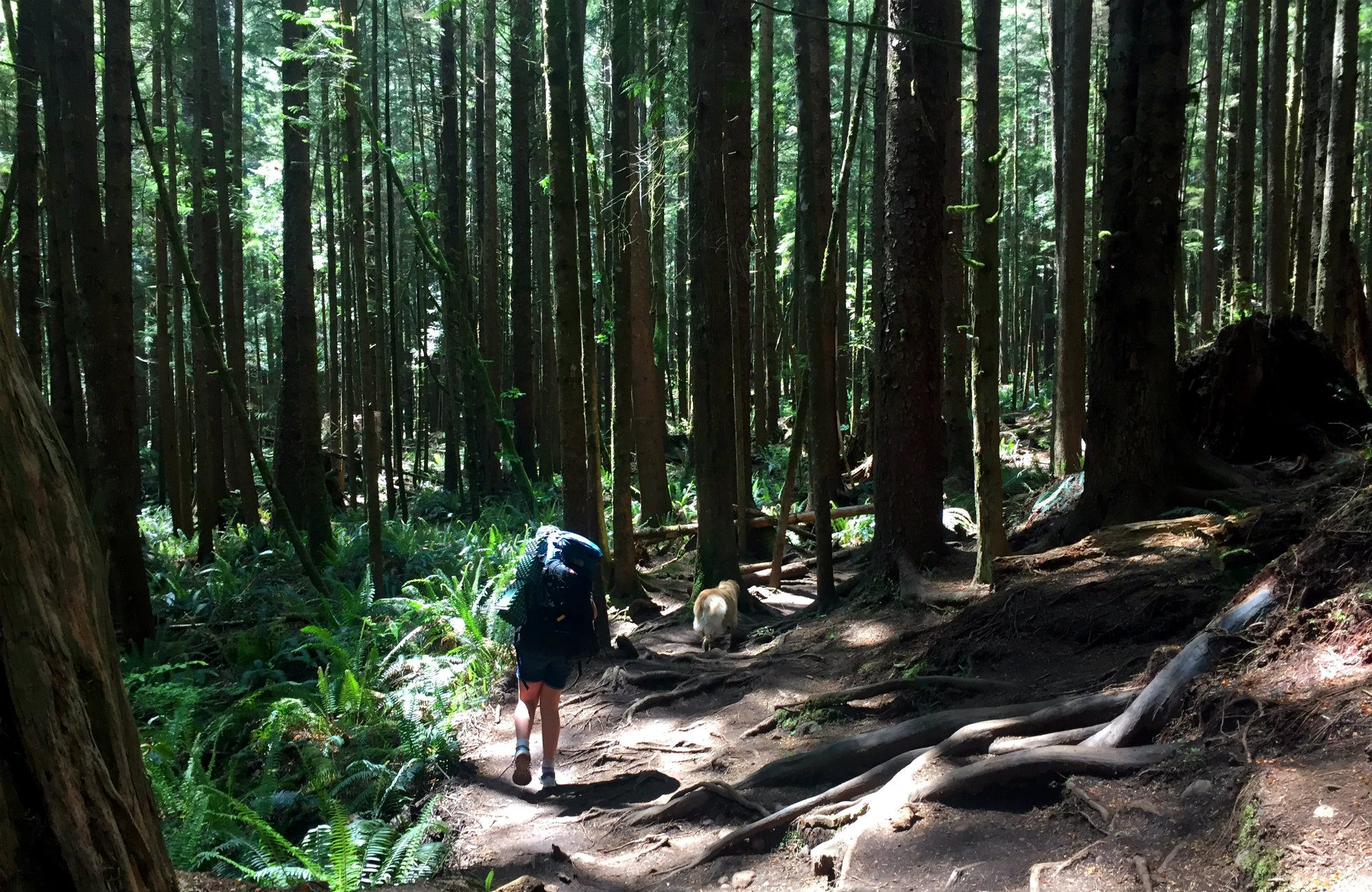 Mystic Beach, Mystic, Mystic beach Camping, Directions to mystic beach, Mystic beach swing, mystic beach waterfall, mystic beach trail head, Juan de Fuca, Sooke beaches, Sooke hiking