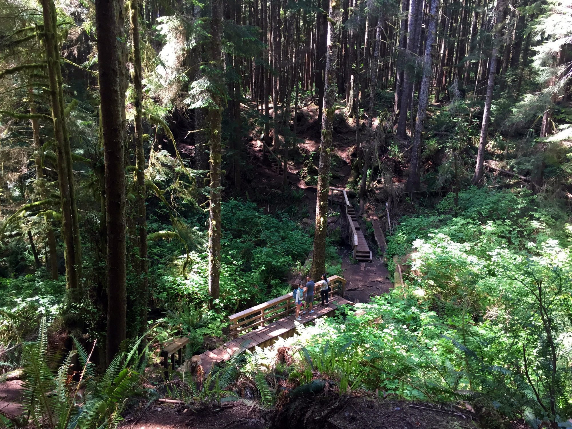 Mystic, Mystic beach Camping, Directions to mystic beach, Mystic beach swing, mystic beach waterfall, mystic beach trail head, Juan de Fuca, Sooke beaches, Sooke hiking