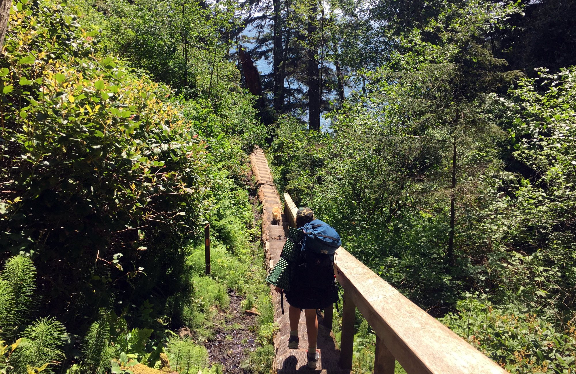 Traveling Islanders, Mystic Beach, Mystic, Mystic beach Camping, Directions to mystic beach, Mystic beach swing, mystic beach waterfall, mystic beach trail head, Juan de Fuca, Spoke beaches, spoke hiking