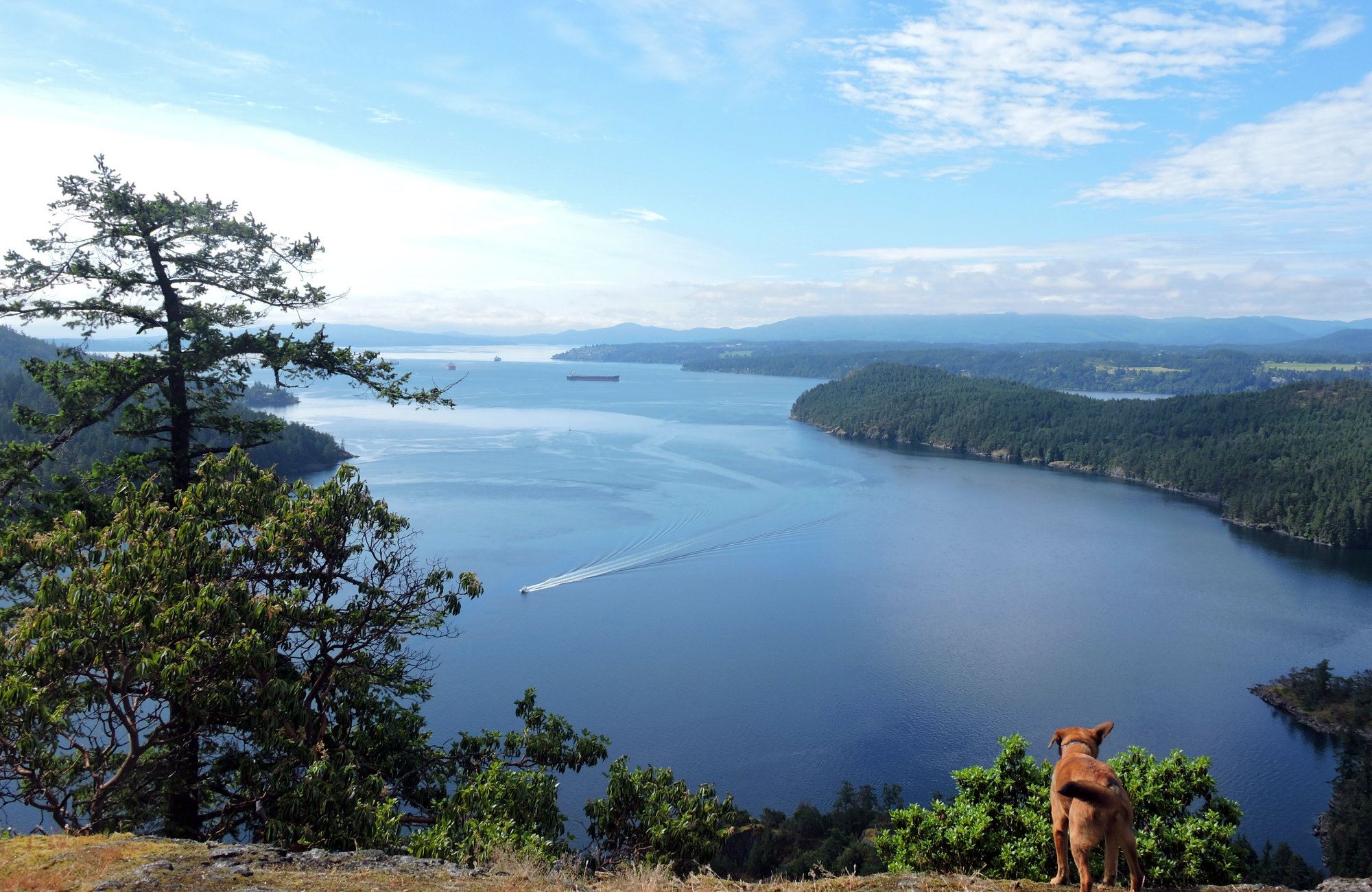 Stoney Hill Trail, Traveling islanders, Vancouver Island Travel Guide, Vancouver Island Hiking, Cowichan Hiking, Stoney Hill, Stoney Hill Peak, Stoney Hill Hiking