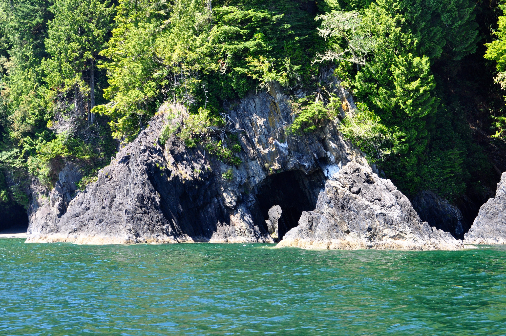 Port Renfrew, Wild Renfrew, Orca Spirit, Port Renfrew Tours, Wild Renfrew Adventure Centre, Juan De Fuca Trail, Port Renfrew Whale Watching, Port Renfrew Ocean Tours