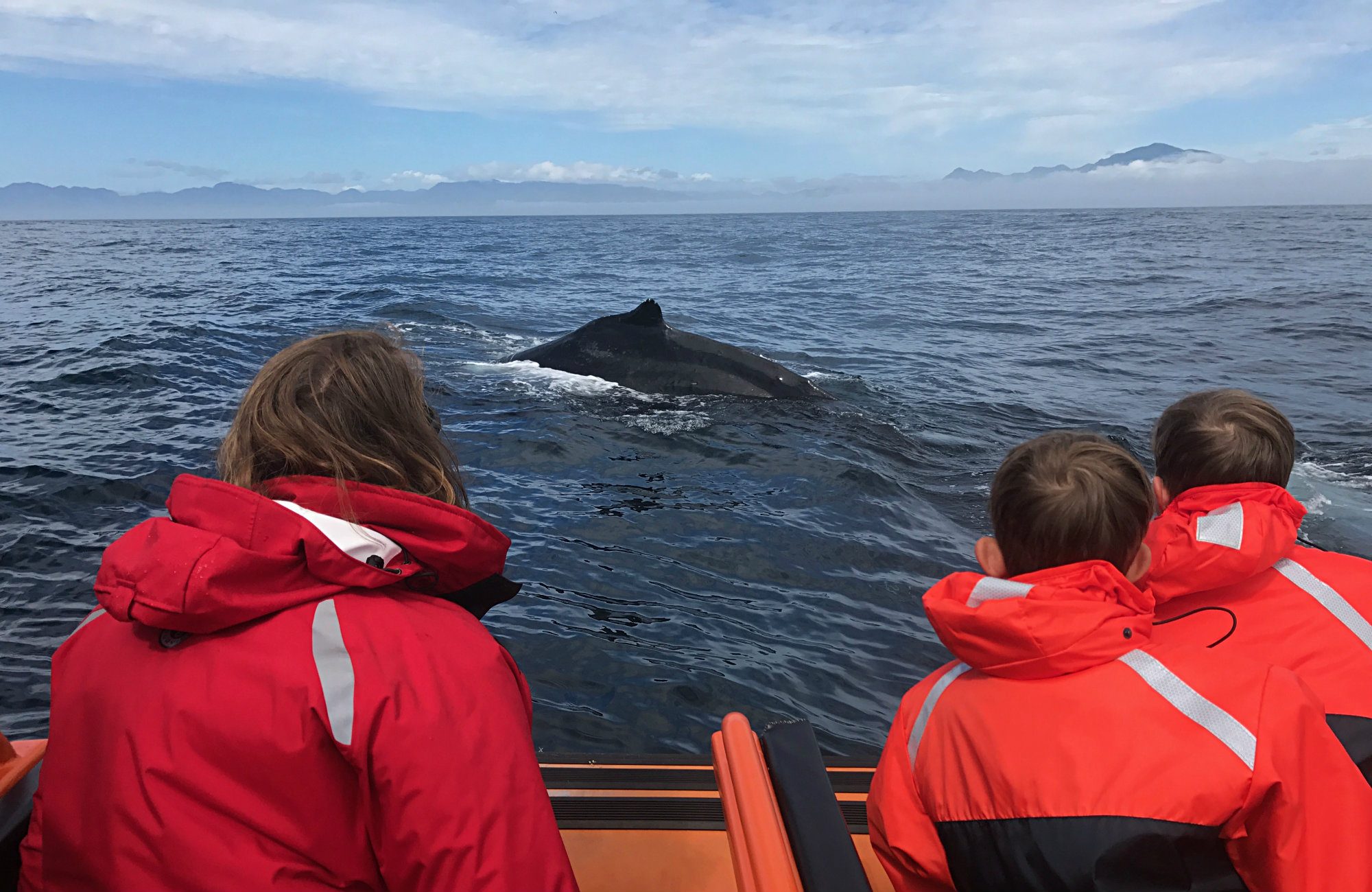 Port Renfrew, Wild Renfrew, Orca Spirit, Port Renfrew Tours, Wild Renfrew Adventure Centre, Juan De Fuca Trail, Port Renfrew Whale Watching, Port Renfrew Ocean Tours