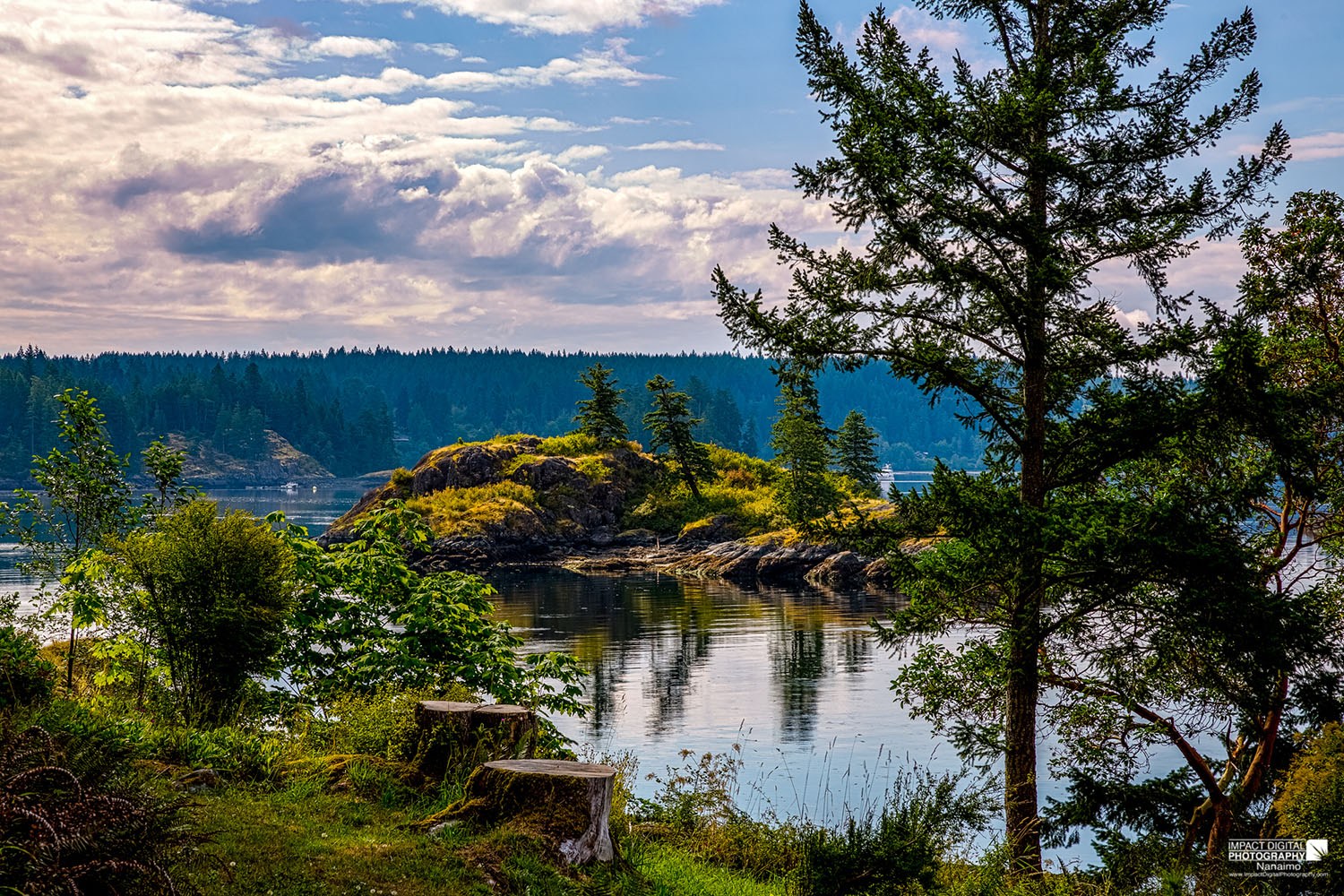 Gowlland Harbour Views