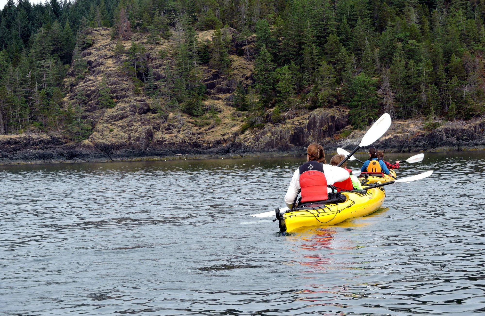 Quadra Island Kayaks, Quadra, Quadra Island, Quadra Island Kayaking, Quadra Island Kayak rental, Discover Islands Kayaking trips, Vancouver Island Kayak tours, Quadra Island Kayak Tours