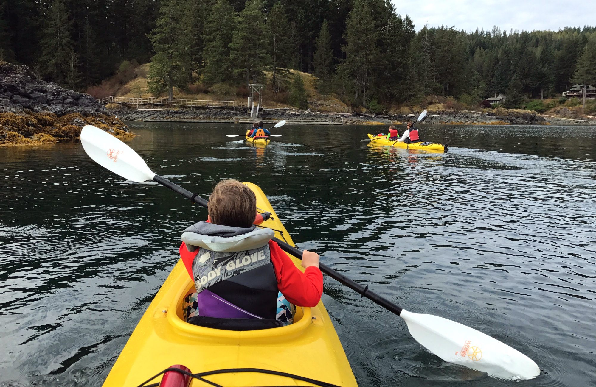 Quadra Island Kayaks, Quadra, Quadra Island, Quadra Island Kayaking, Quadra Island Kayak rental, Discover Islands Kayaking trips, Vancouver Island Kayak tours, Quadra Island Kayak Tours