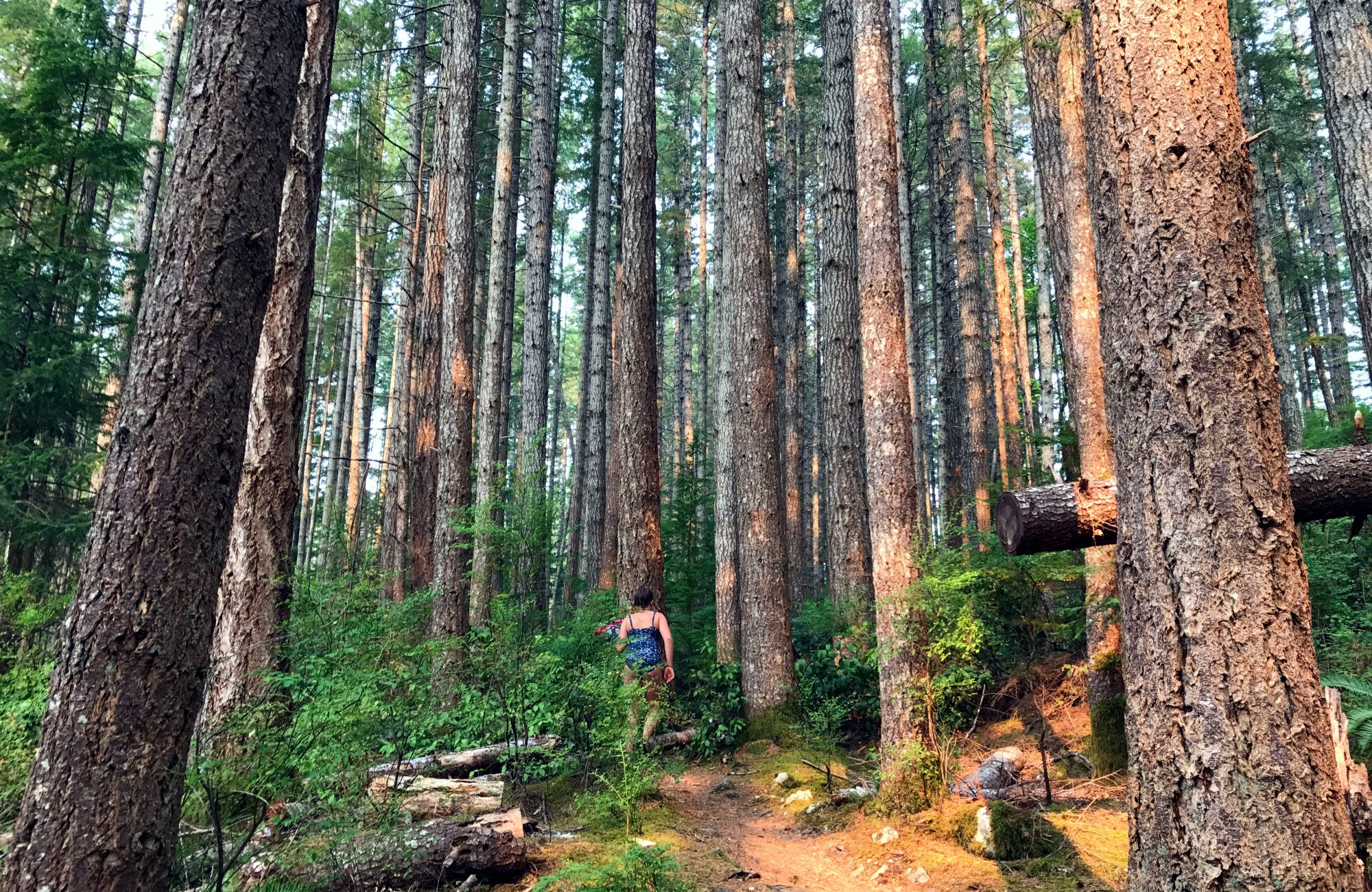 Open Bay Beach, Open Bay, Quadra Island beaches, Quadra Island