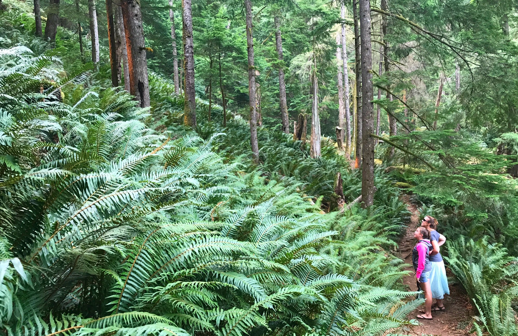 Surge Narrows, Quadra Island, Quadra, Quadra Island Hikes 