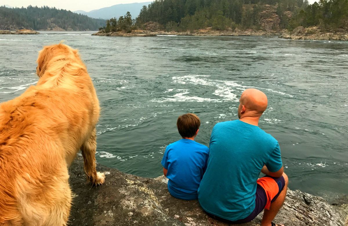 Surge Narrows Turns The Ocean Into A Raging River! Traveling Islanders