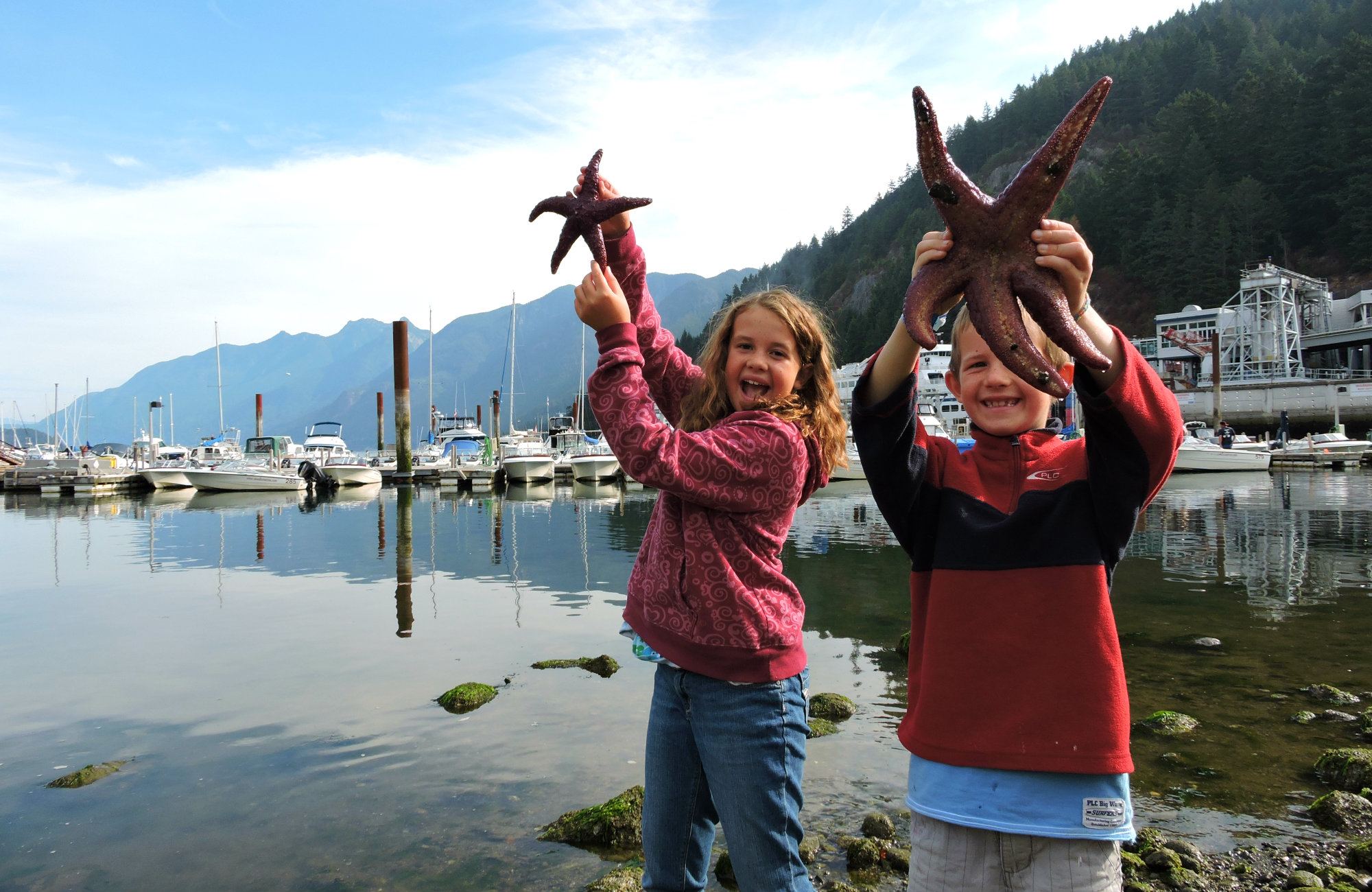 Horseshoe Bay, BC Ferries