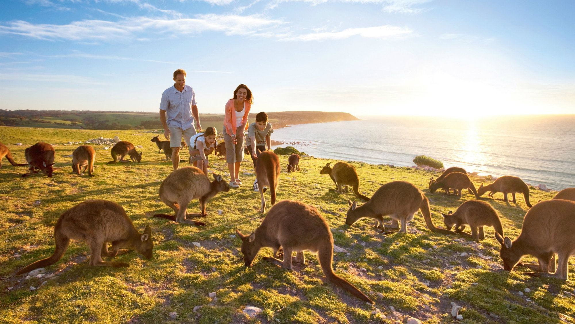 Kangaroo Island, Australia Tourism, Paradise Island, Paradise islands