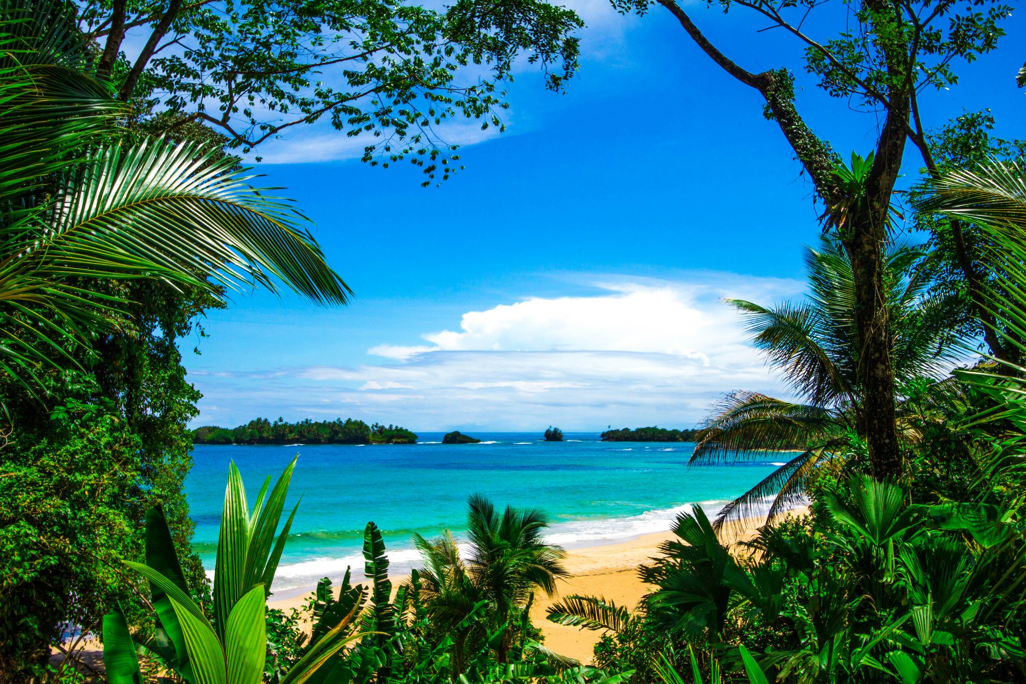 Isla Bastimentos, Red Frog beach