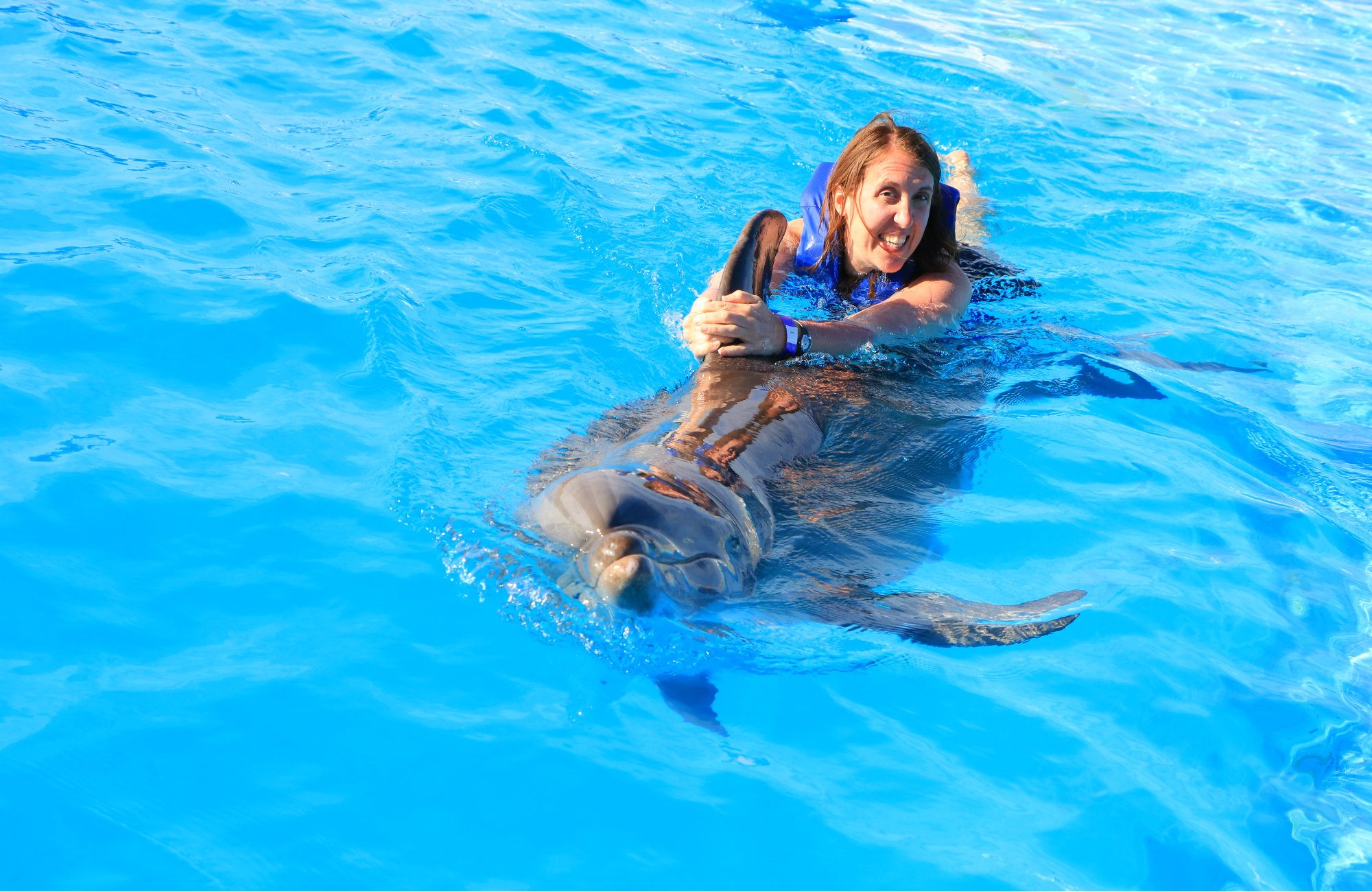 Carnival Cruise, Mexican Riviera Cruise, #cruisingcarnival, Cabo Shore Excursions, Cabo Dolphin Adventure, Cabo, Carnival Shore excursions, Cabo dolphin swim,