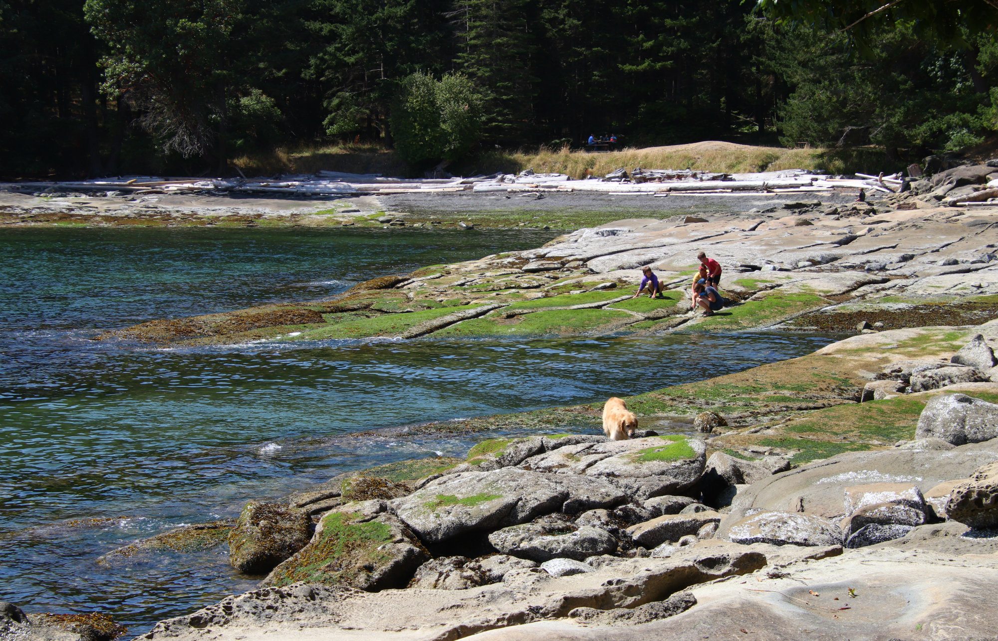 Gabriola Beaches, Gabriola Island Beaches, Gabriola Galleries, drumbeg beach, Drumbeg provincial park